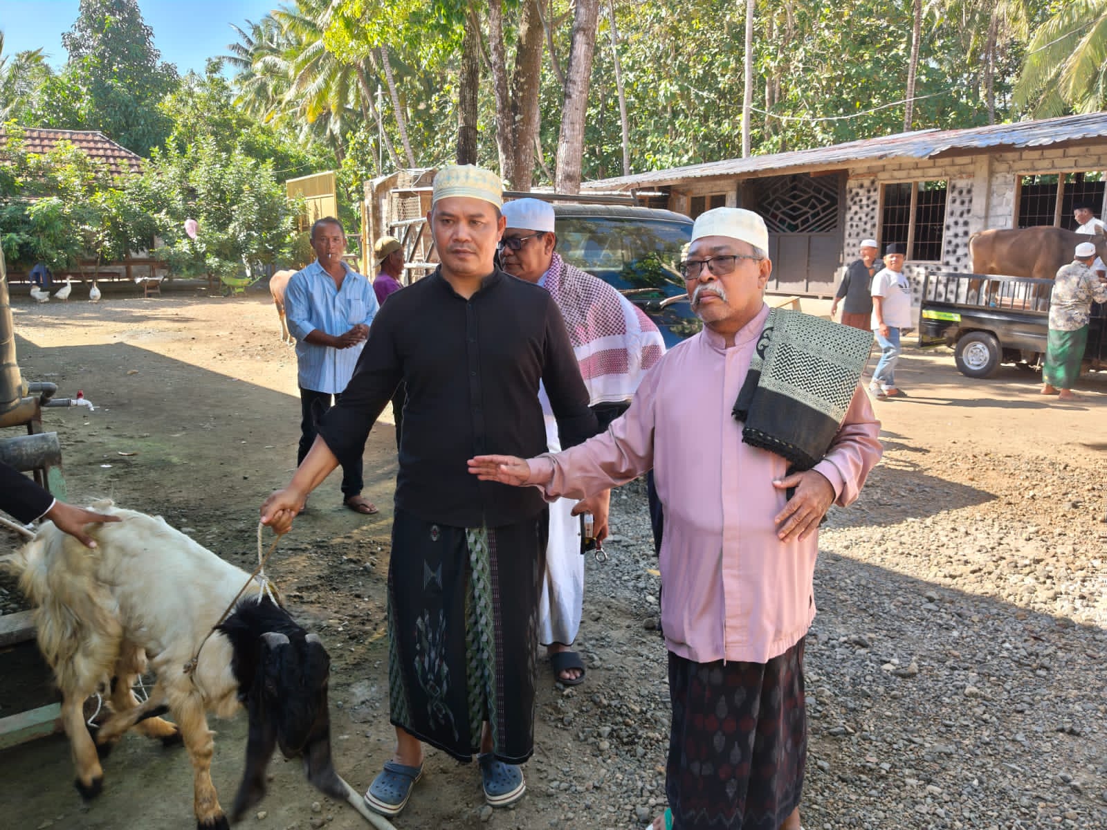 Sambut Idul Adha 1447 H, Miq Tuan Dar Salurkan Bantuan Hewan Qurban untuk Warga Baun Beleng