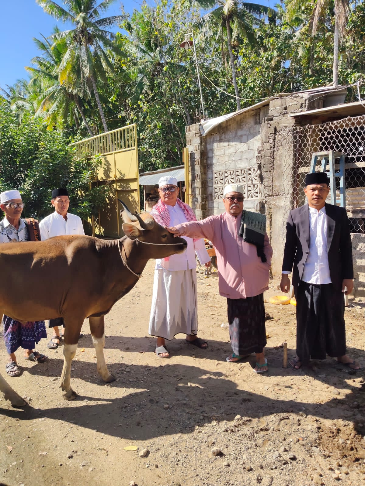 Haji Lalu Daryadi Serahkan Bantuan 1 Ekor Sapi untuk Warga Desa Jelateng Timur